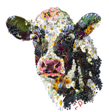 Vegan Cow | Organic - Faceplant